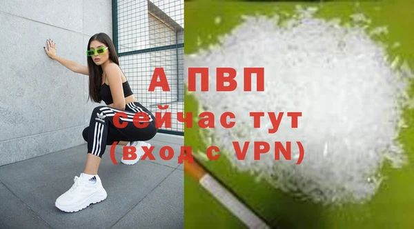 a pvp Беломорск