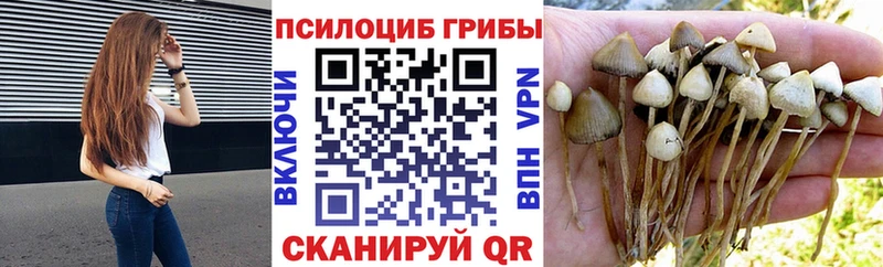Галлюциногенные грибы MAGIC MUSHROOMS  Велиж 