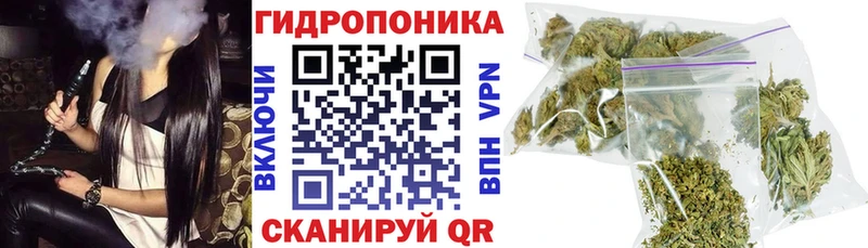 Марихуана планчик Велиж